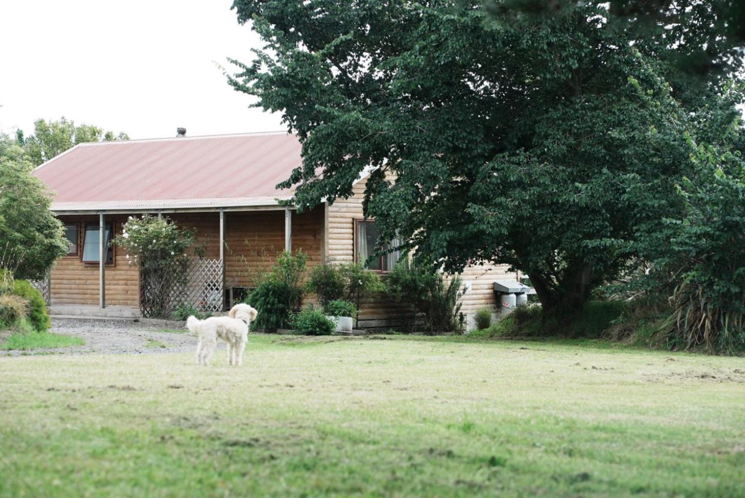 A Cabin With A Big View, Comfort And Tranquility, Close To Vines Martinborough Exterior foto