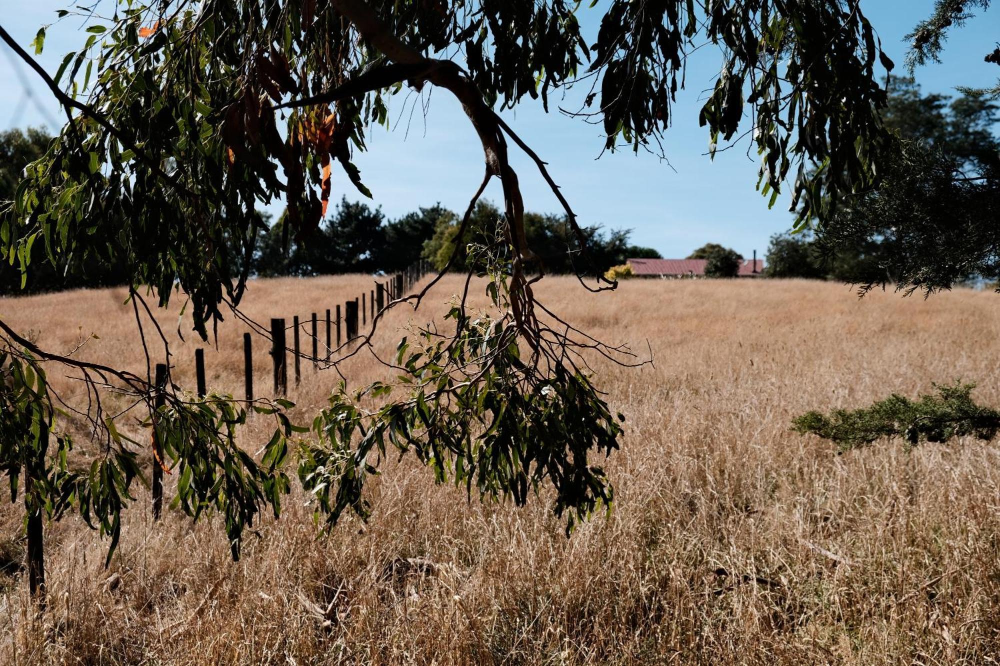 A Cabin With A Big View, Comfort And Tranquility, Close To Vines Martinborough Exterior foto