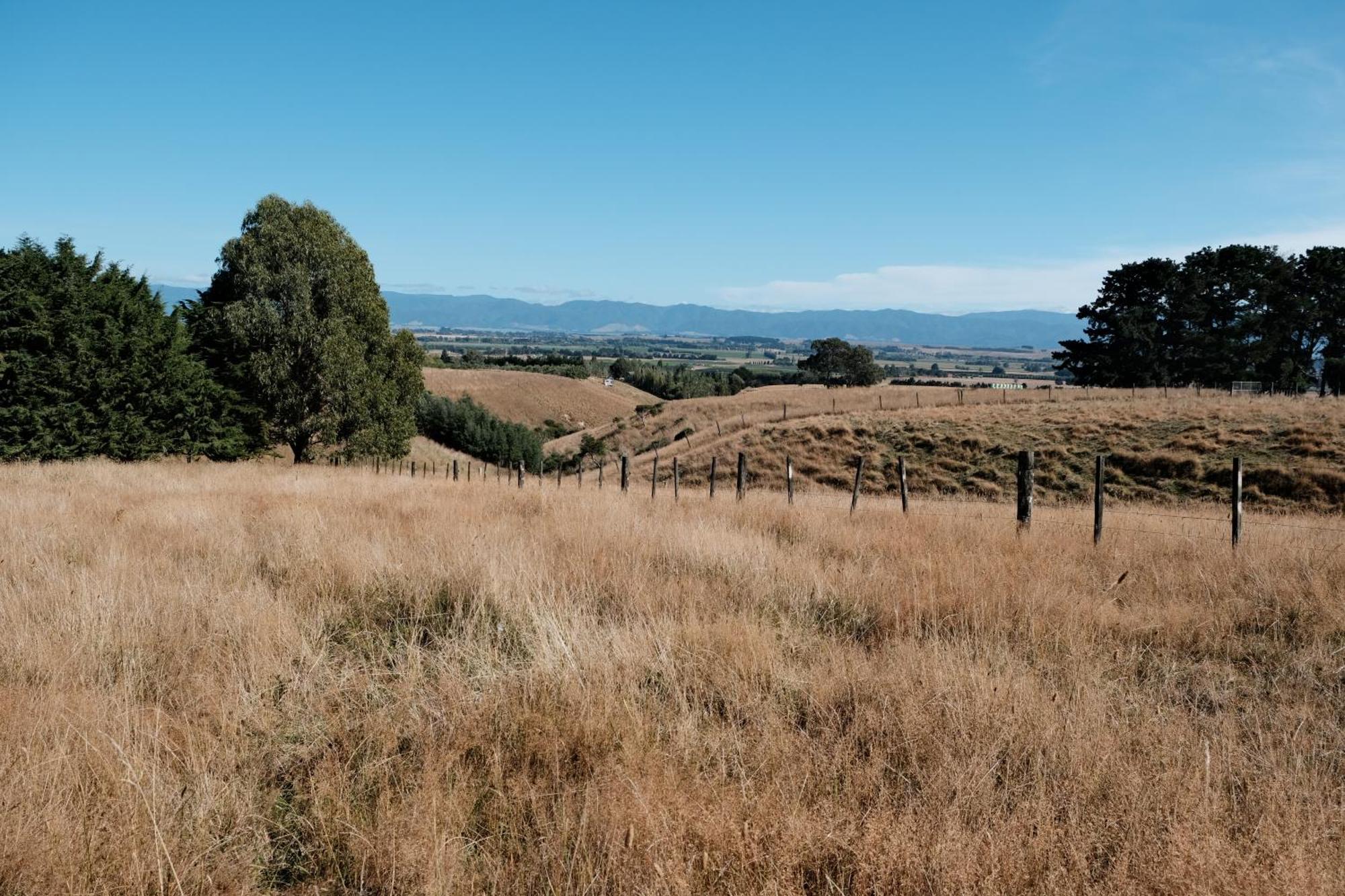 A Cabin With A Big View, Comfort And Tranquility, Close To Vines Martinborough Exterior foto